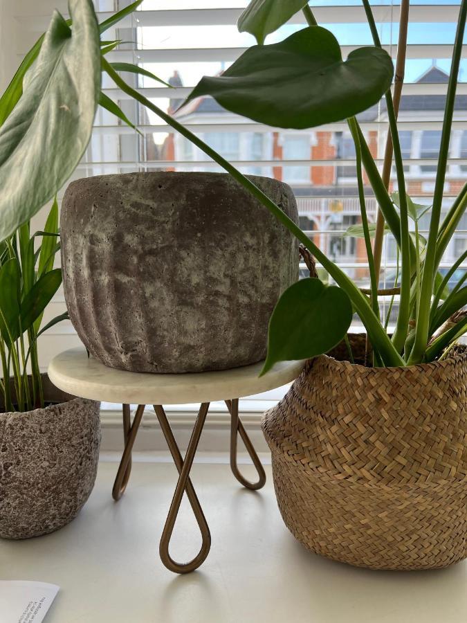 Gorgeous 1 Bed Flat Near Richmond Bridge. Lejlighed Eksteriør billede